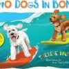 Cover of Two Dogs in Bondi by Therese Waters for Green Olive Press